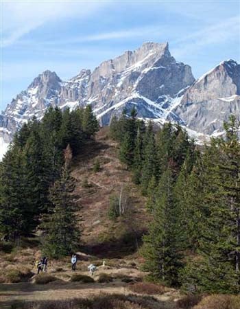 9 Altdorf to Engelberg 350x450 Dorn None