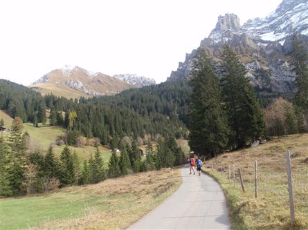 Edchoice Adelboden 3 445x260 20767 edchoice_adelboden_3_445x260