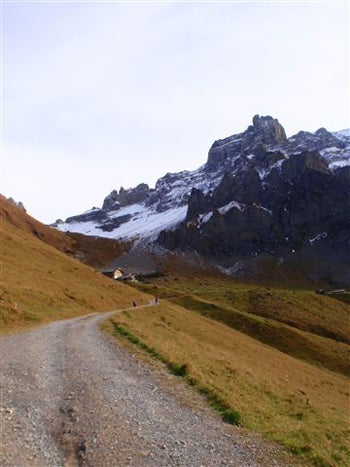Edchoice Adelboden 4 445x260 20768 edchoice_adelboden_4_445x260