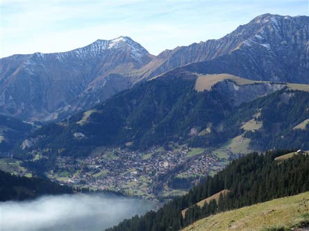 Edchoice Adelboden 5 445x260 20769 edchoice_adelboden_5_445x260