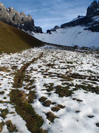 edchoice_adelboden_8_445x260