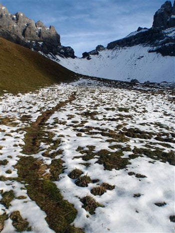 Edchoice Adelboden 8 445x260 20772 edchoice_adelboden_8_445x260