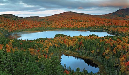 March 2010 Ripngo Soldier Big Moose 445x260 22365 march 2010 ripngo soldier big moose 445x260