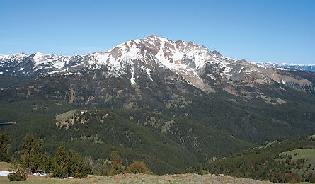 "march 2010 rockies gallatin 445x260"