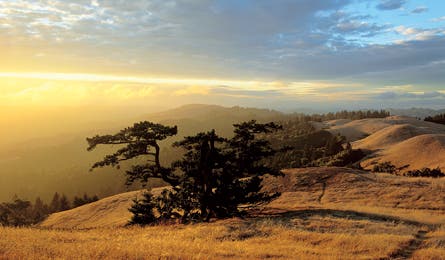 march 2010 the peak mt tam 445x260