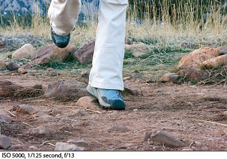 Photo Blog Aperture 4 22709 None