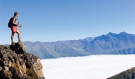 "march 2010 alaska flute glacier 445x260"