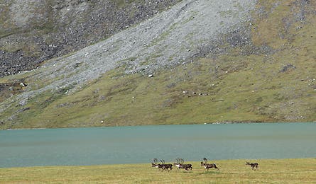 march 2010 harlin chamberlin 6 445x260