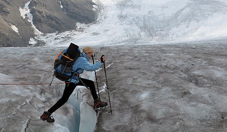 march 2010 harlin chamberlin 9 445x260