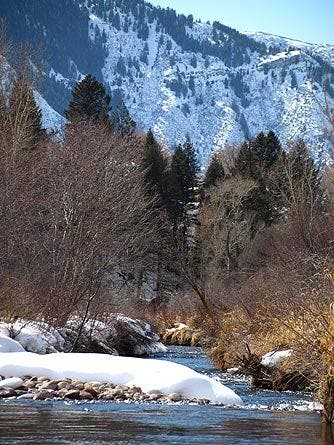 Donley Flyfishing 1 445 23351 Donley_flyfishing_1_445