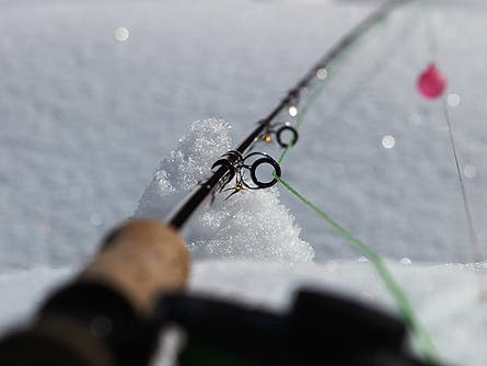 Donley Flyfishing RoaringFork 2 445 23352 Donley_flyfishing_RoaringFork_2_445