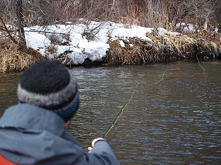Donley_flyfishing_RoaringFork_3_445