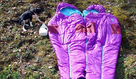 gear pod sexy hotness 1 445x260