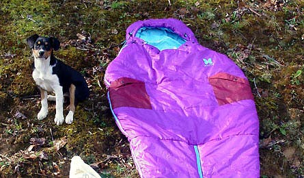 gear pod sexy hotness 10 445x260