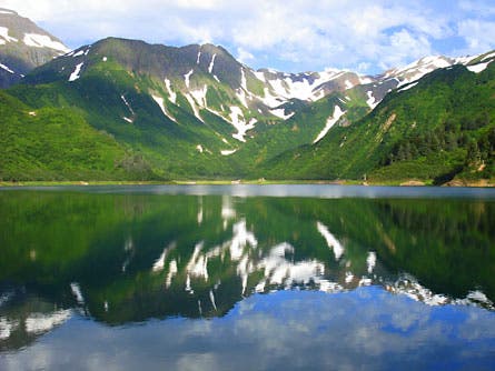 Salmon Ride Alaska 445wide