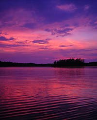 User-Contributed Media 23648 None