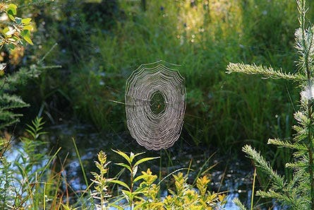 User-Contributed Media 23649 None