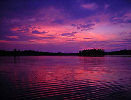 User-Contributed Media 23650 None