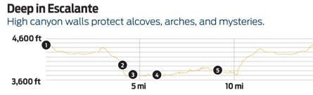 Image placeholder title None