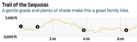 Image placeholder title None