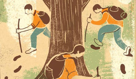 Lost in the Frank Church Wilderness