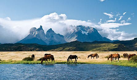 March 2009 Chile Lakepehoe 445x260 24018 patagonia