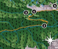 "may 2010 zones forest hoh 200x170"