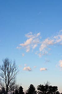 User-Contributed Media 23802 None