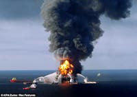 User-Contributed Media 24041 None