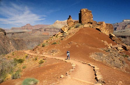 Grand Canyon 11 445wide 24241 Grand Canyon 11 445wide
