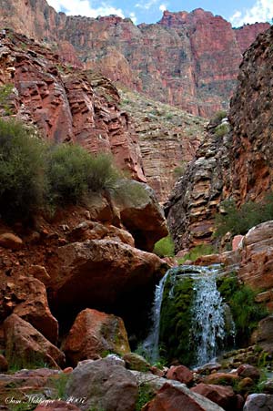 Grand Canyon 7 300wide