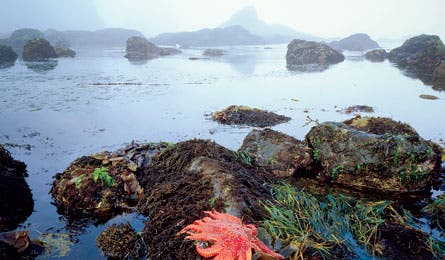 olympic national park