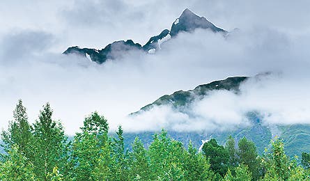 june 2010 stratus deyoung 445x260