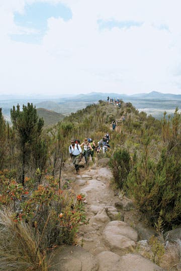 kilimanjaro