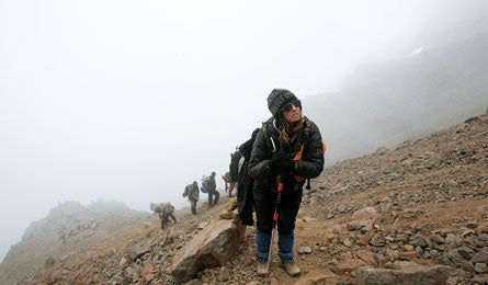 Kilimanjaro3 445x260.jpg 24447 None