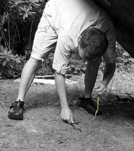 slideshow snake repellent 2