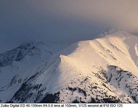 User-Contributed Media 24179 None