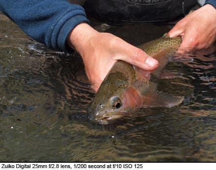 User-Contributed Media 24180 None