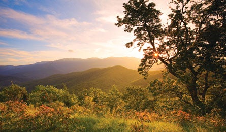 "mitchell-Blackley_445.jpg"