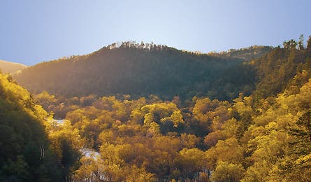 TN-collins-duckett 445x260.jpg 24510 john muir trail