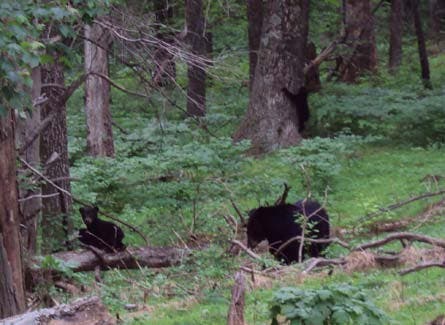 User-Contributed Media 24566 None