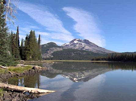 User-Contributed Media 24567 None