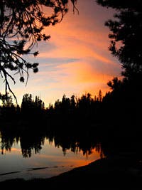 User-Contributed Media 24568 None