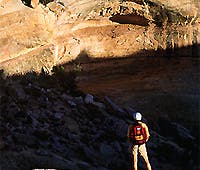 20165-themaze_200x170 None