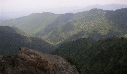 "charlesbunion_timjohnson_445.jpg"