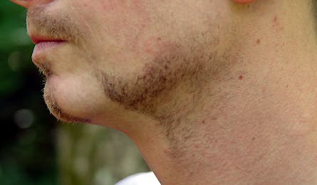 Gear Review Shavemate 8 445 25181 gear review shavemate 8 44