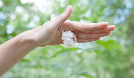 gear review shavemate 9 445 