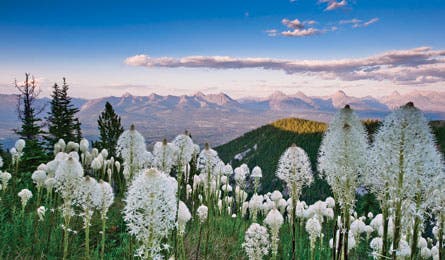 Harvey Lock445x260 Garth Lenz.jpg 24894 harvey locke glacier national park