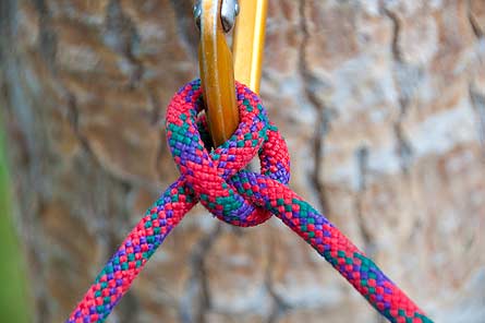 Knot Slideshow Clove Hitch 6-445x296 25004 knot slideshow clove hitch 6-445x296