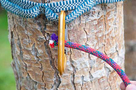 Knot Slideshow Clove Hitch Single 1 445x296 25016 knot slideshow clove hitch single 1 445x296